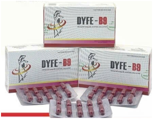 Bổ Sung Sắt DYFE - B9